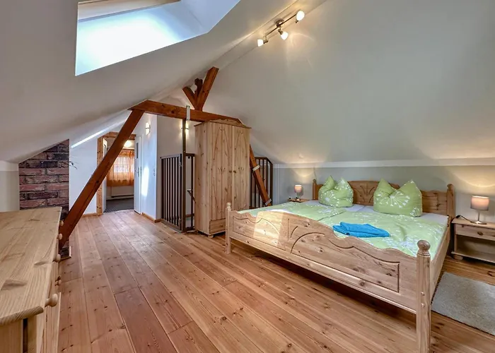 Kegel * 혼슈타인